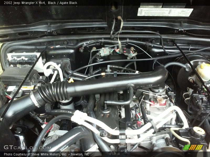 Black / Agate Black 2002 Jeep Wrangler X 4x4