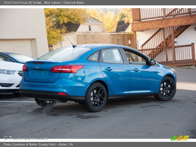 Blue Candy / Charcoal Black 2016 Ford Focus SE Sedan