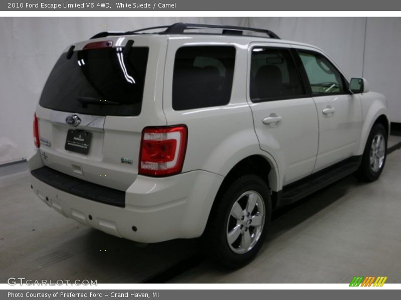 White Suede / Camel 2010 Ford Escape Limited V6 4WD