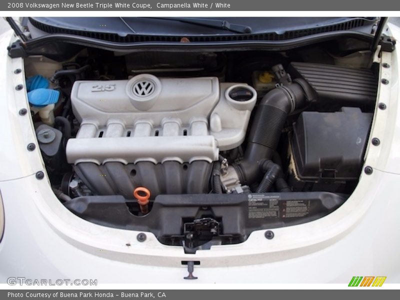 Campanella White / White 2008 Volkswagen New Beetle Triple White Coupe