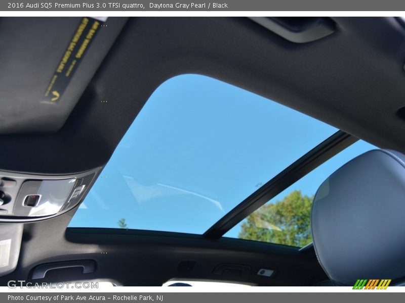 Daytona Gray Pearl / Black 2016 Audi SQ5 Premium Plus 3.0 TFSI quattro