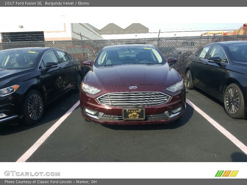 Burgundy Velvet / Ebony 2017 Ford Fusion SE