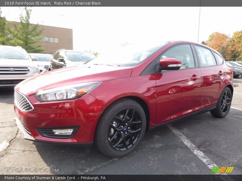 Ruby Red / Charcoal Black 2016 Ford Focus SE Hatch