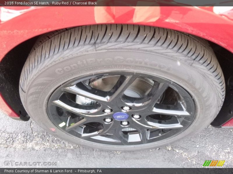 Ruby Red / Charcoal Black 2016 Ford Focus SE Hatch