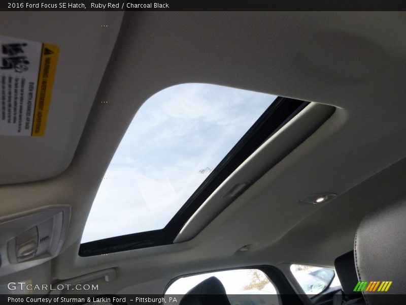 Ruby Red / Charcoal Black 2016 Ford Focus SE Hatch