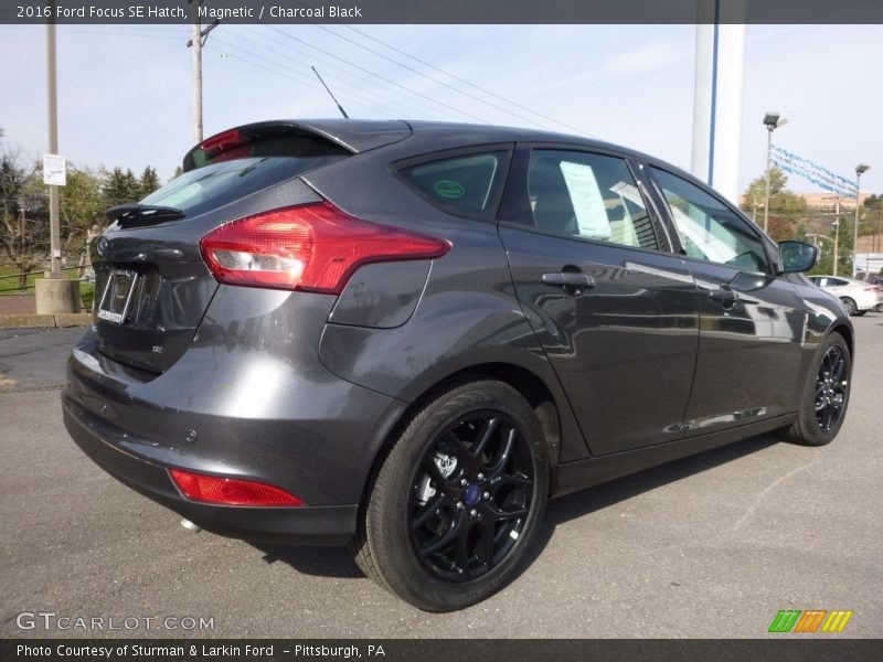 Magnetic / Charcoal Black 2016 Ford Focus SE Hatch