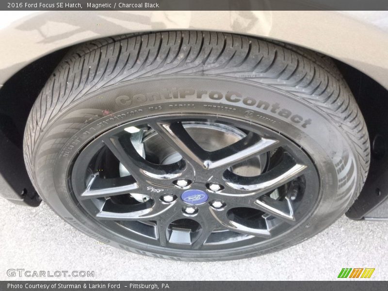 Magnetic / Charcoal Black 2016 Ford Focus SE Hatch