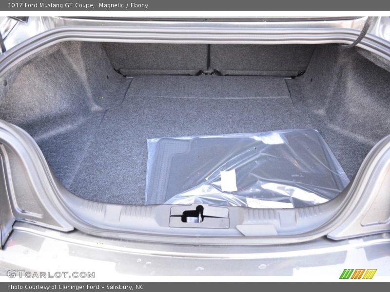 Magnetic / Ebony 2017 Ford Mustang GT Coupe