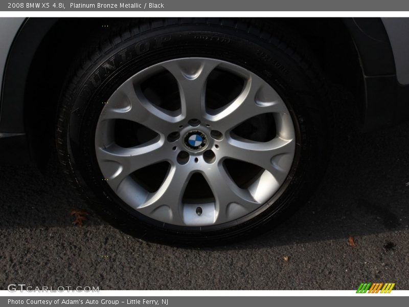 Platinum Bronze Metallic / Black 2008 BMW X5 4.8i