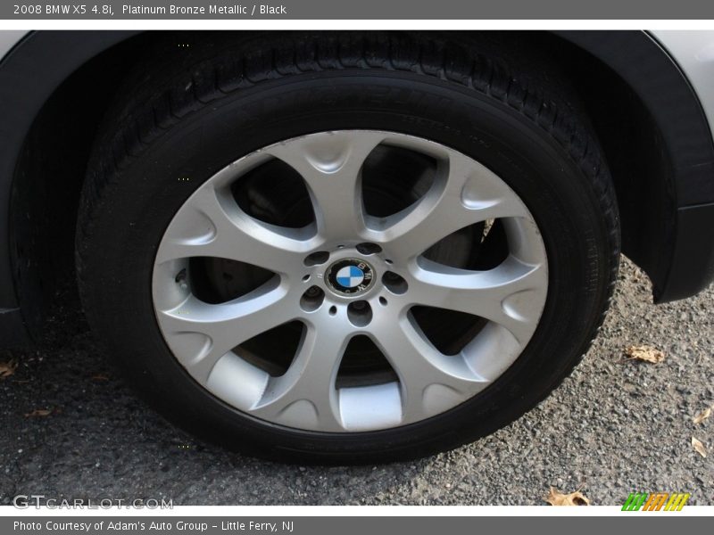 Platinum Bronze Metallic / Black 2008 BMW X5 4.8i