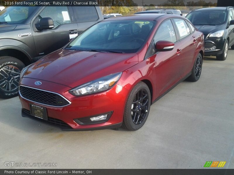Ruby Red / Charcoal Black 2016 Ford Focus SE Sedan