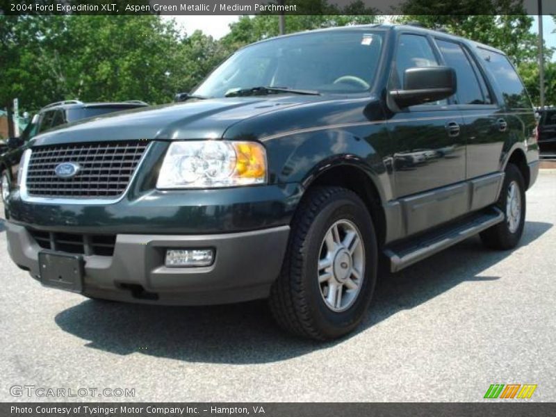 Aspen Green Metallic / Medium Parchment 2004 Ford Expedition XLT