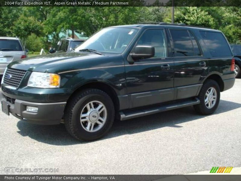Aspen Green Metallic / Medium Parchment 2004 Ford Expedition XLT
