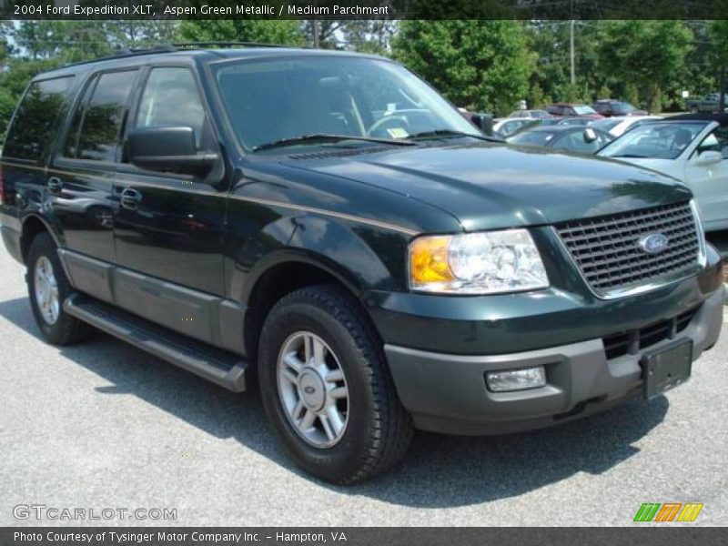 Aspen Green Metallic / Medium Parchment 2004 Ford Expedition XLT