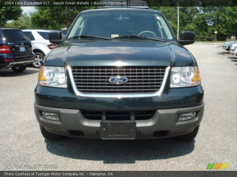 Aspen Green Metallic / Medium Parchment 2004 Ford Expedition XLT