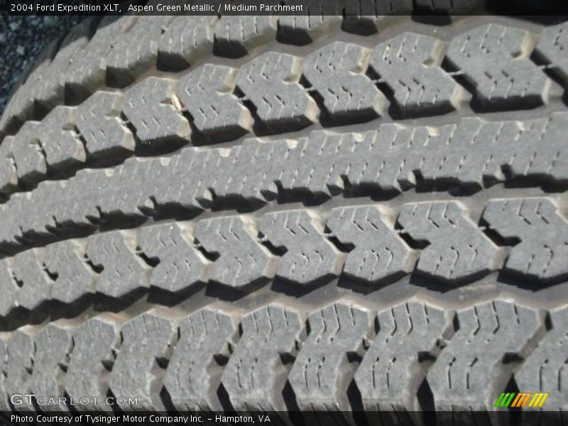 Aspen Green Metallic / Medium Parchment 2004 Ford Expedition XLT