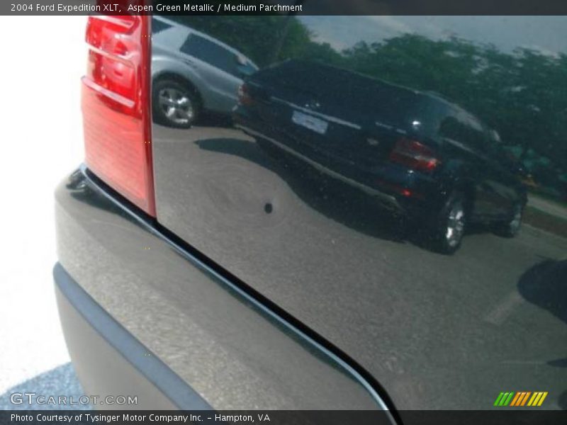 Aspen Green Metallic / Medium Parchment 2004 Ford Expedition XLT