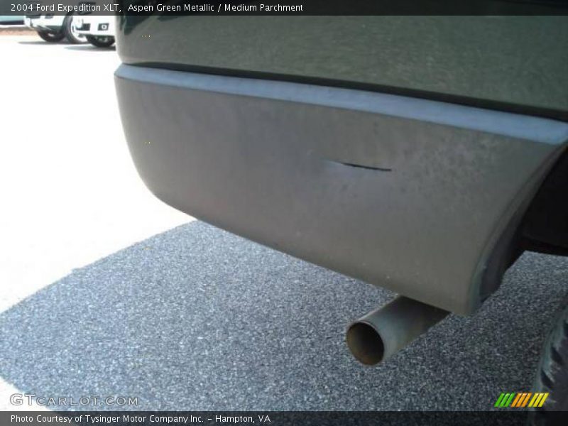 Aspen Green Metallic / Medium Parchment 2004 Ford Expedition XLT