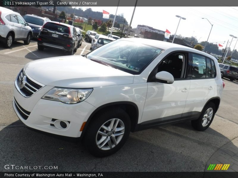 Candy White / Charcoal 2011 Volkswagen Tiguan SE