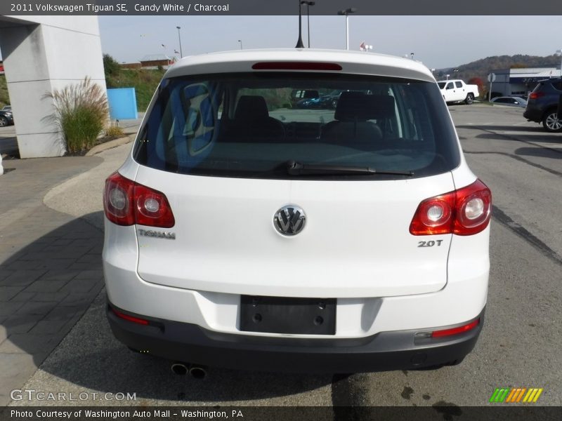 Candy White / Charcoal 2011 Volkswagen Tiguan SE