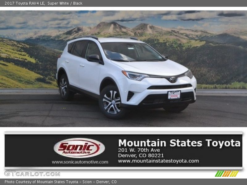 Super White / Black 2017 Toyota RAV4 LE