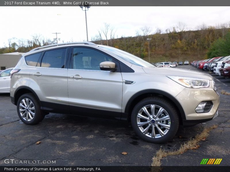 White Gold / Charcoal Black 2017 Ford Escape Titanium 4WD