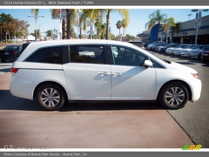 White Diamond Pearl / Truffle 2014 Honda Odyssey EX-L