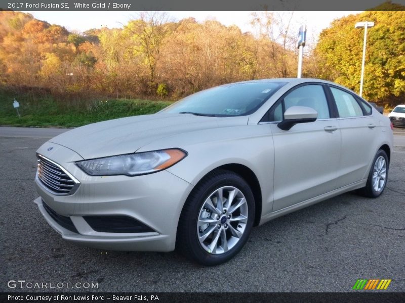 White Gold / Ebony 2017 Ford Fusion SE