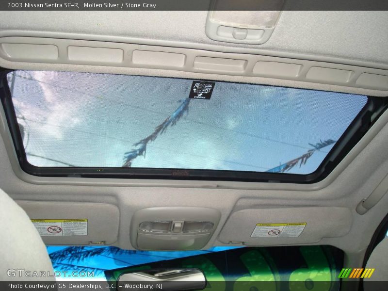 Molten Silver / Stone Gray 2003 Nissan Sentra SE-R