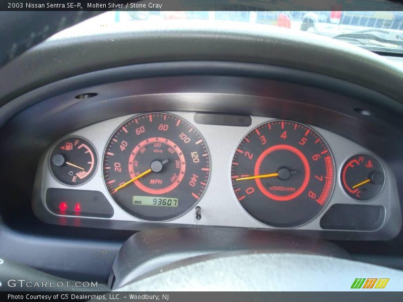 Molten Silver / Stone Gray 2003 Nissan Sentra SE-R
