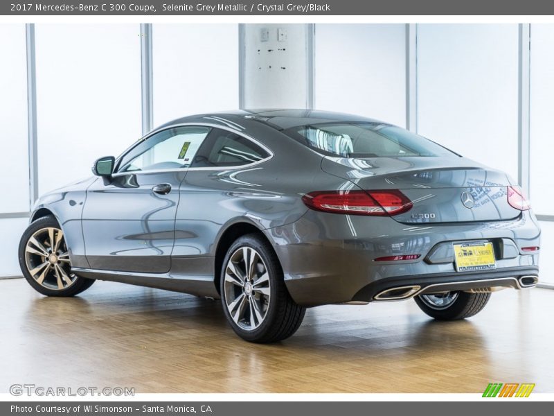 Selenite Grey Metallic / Crystal Grey/Black 2017 Mercedes-Benz C 300 Coupe