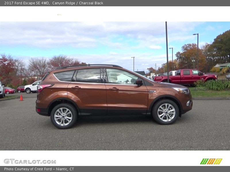 Canyon Ridge / Charcoal Black 2017 Ford Escape SE 4WD