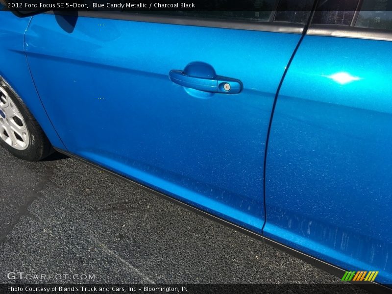 Blue Candy Metallic / Charcoal Black 2012 Ford Focus SE 5-Door