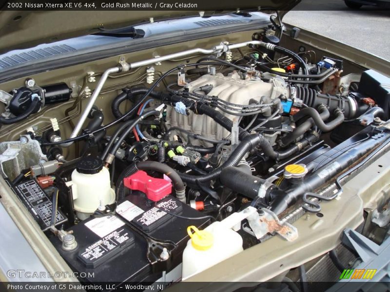 Gold Rush Metallic / Gray Celadon 2002 Nissan Xterra XE V6 4x4