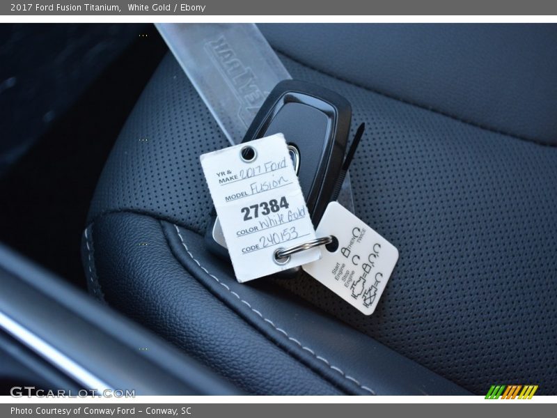 White Gold / Ebony 2017 Ford Fusion Titanium