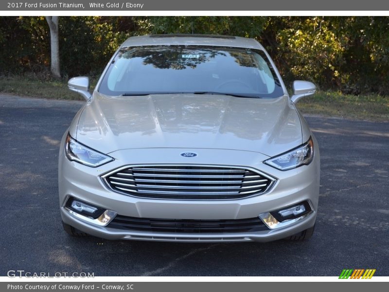 White Gold / Ebony 2017 Ford Fusion Titanium