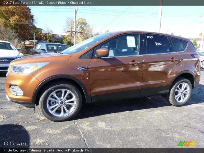 Canyon Ridge / Charcoal Black 2017 Ford Escape SE 4WD