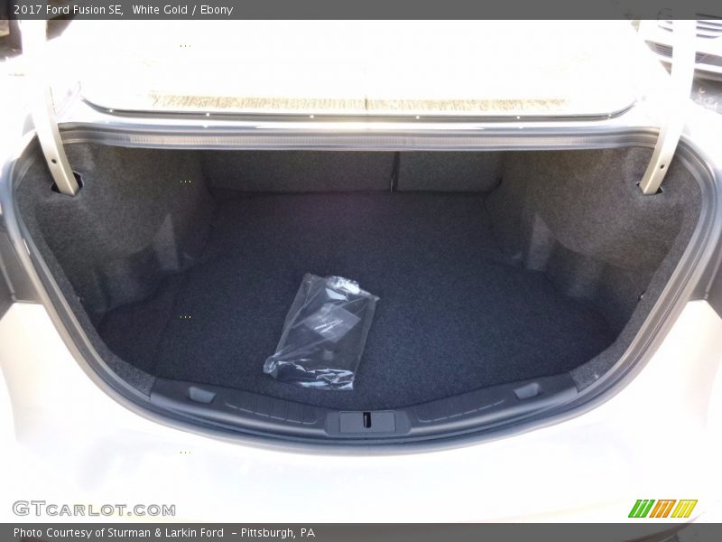 White Gold / Ebony 2017 Ford Fusion SE