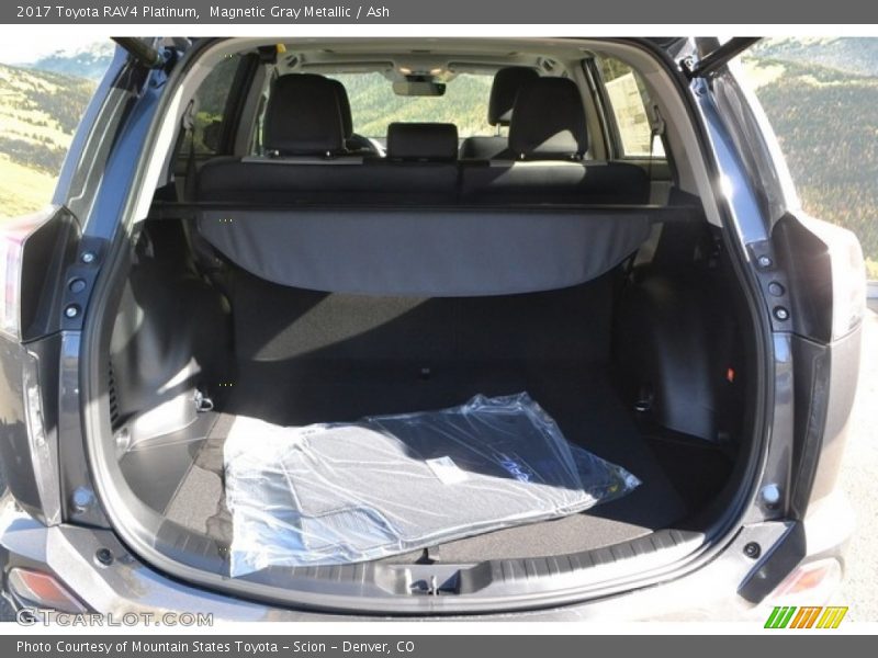 Magnetic Gray Metallic / Ash 2017 Toyota RAV4 Platinum