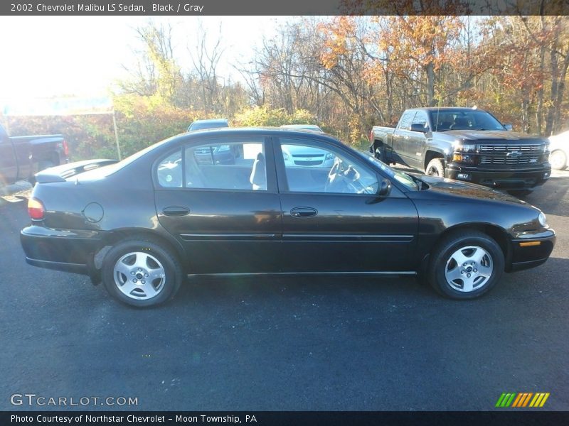 Black / Gray 2002 Chevrolet Malibu LS Sedan