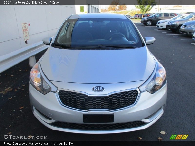 Bright Silver / Gray 2014 Kia Forte LX