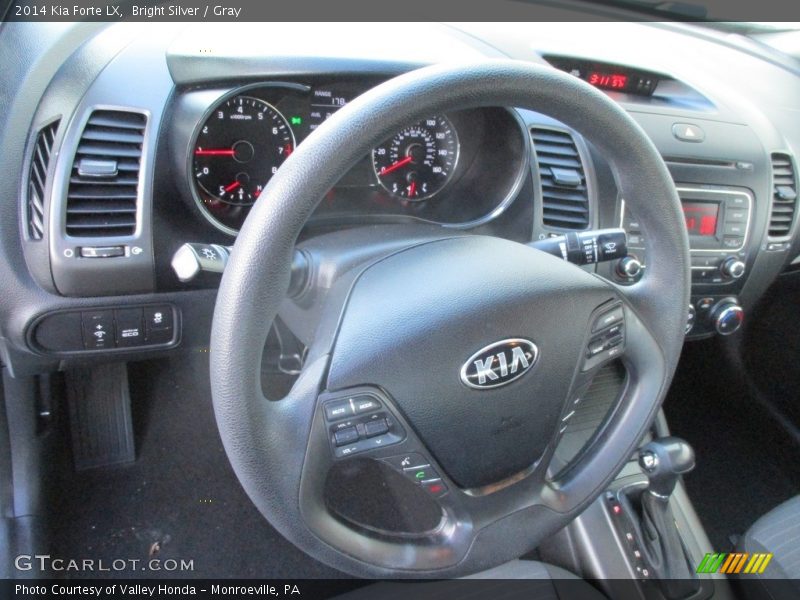 Bright Silver / Gray 2014 Kia Forte LX