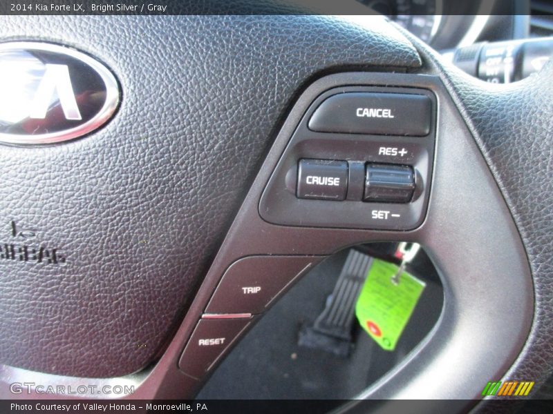 Bright Silver / Gray 2014 Kia Forte LX