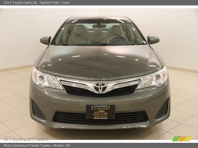 Cypress Pearl / Ivory 2014 Toyota Camry LE
