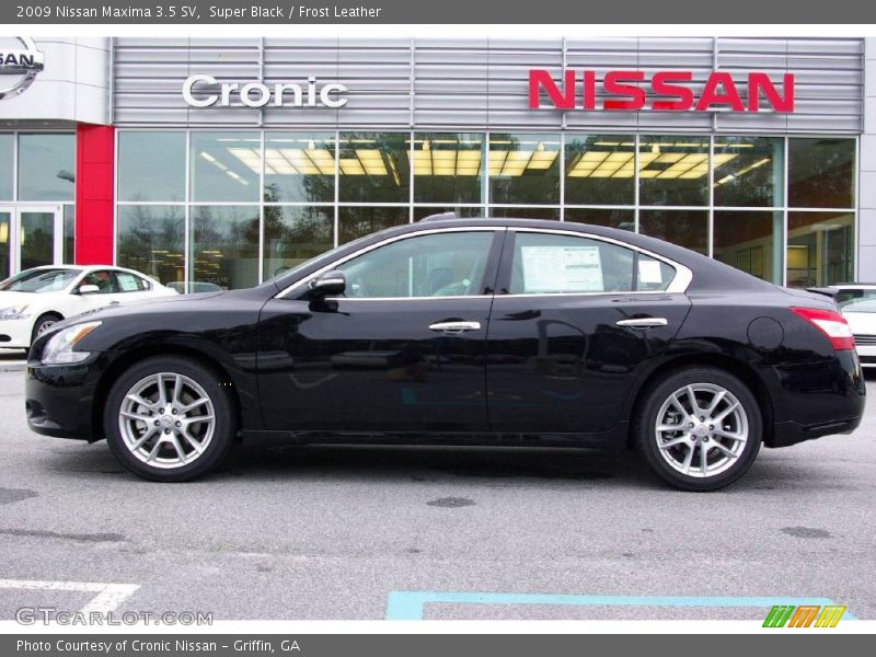 Super Black / Frost Leather 2009 Nissan Maxima 3.5 SV