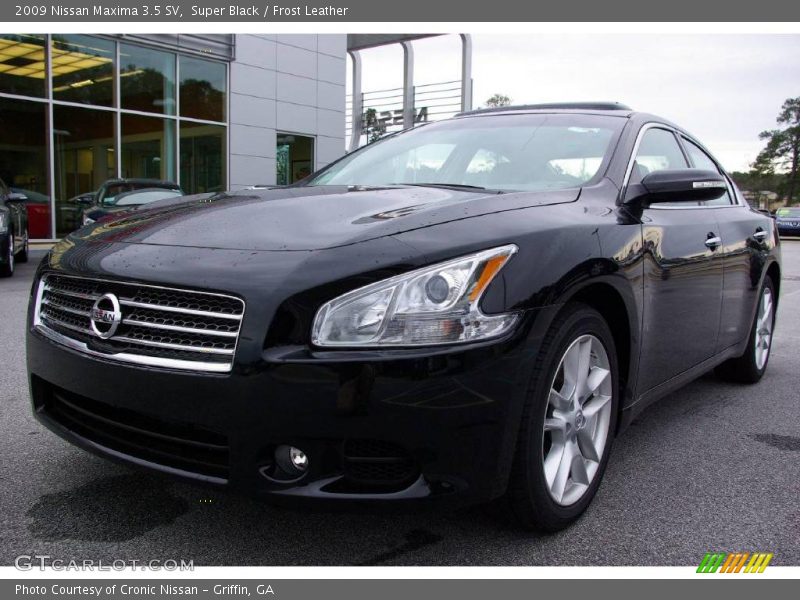 Super Black / Frost Leather 2009 Nissan Maxima 3.5 SV