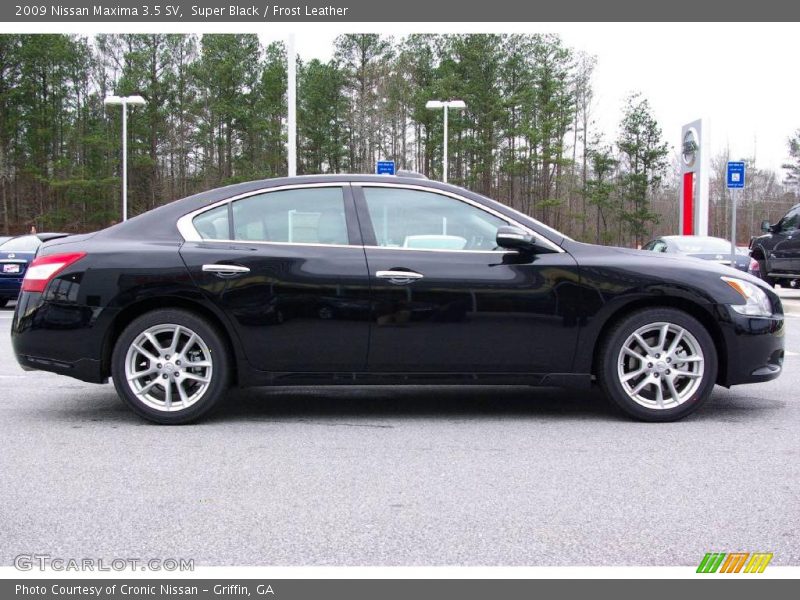 Super Black / Frost Leather 2009 Nissan Maxima 3.5 SV
