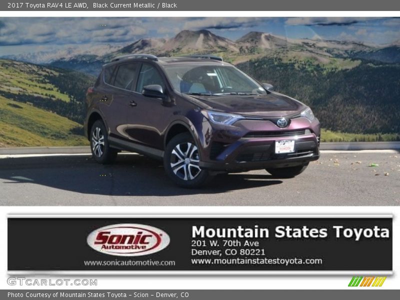 Black Current Metallic / Black 2017 Toyota RAV4 LE AWD