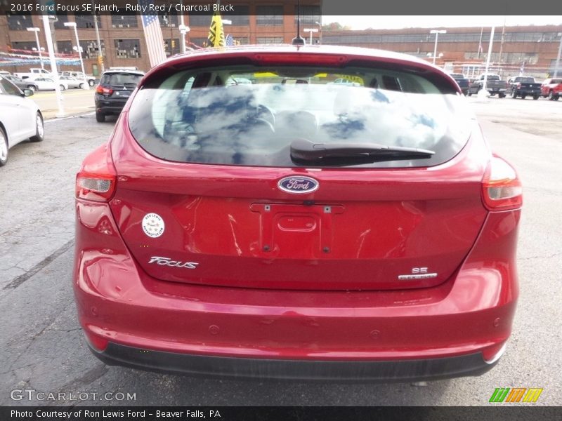 Ruby Red / Charcoal Black 2016 Ford Focus SE Hatch