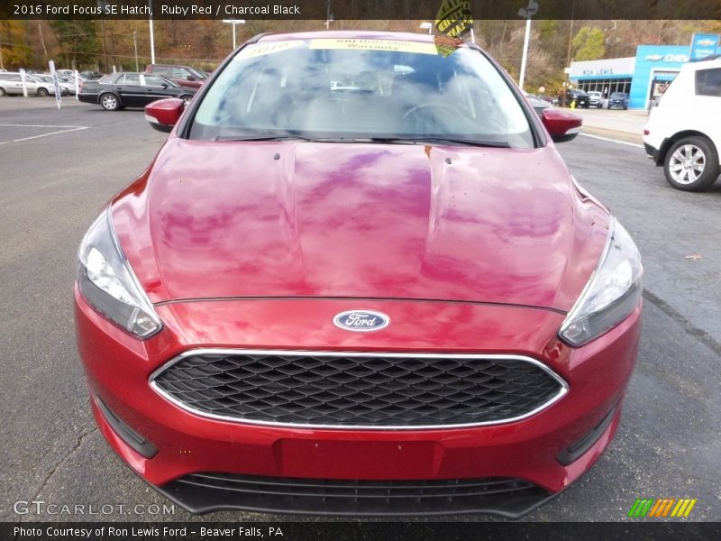 Ruby Red / Charcoal Black 2016 Ford Focus SE Hatch